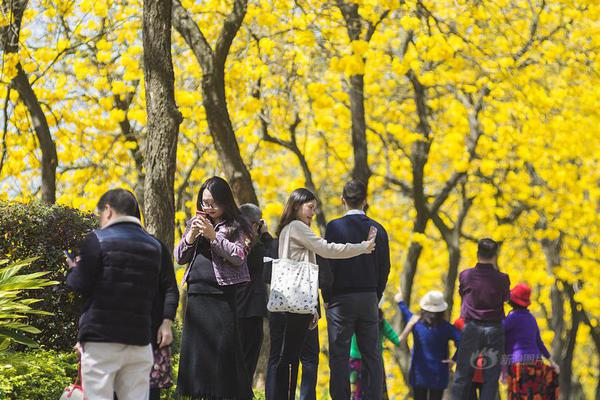 轩辕问道bt乐嗨嗨游戏下载